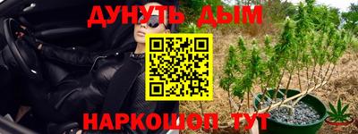 jwh Свободный