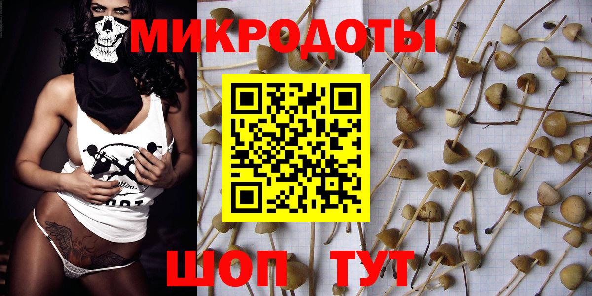 Ревда  Псилоцибиновые грибы ЛСД  купить наркотик  Вход с VPN  Галлюциногенные грибы MAGIC MUSHROOMS 
