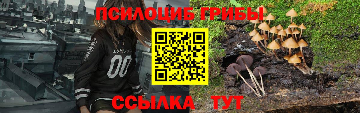 Псилоцибиновые грибы Psilocybine cubensis Ревда